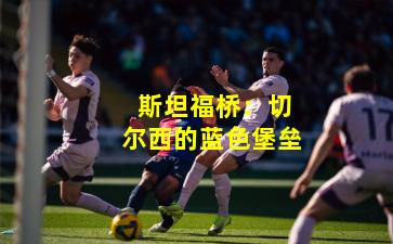  斯坦福桥：切尔西的蓝色堡垒