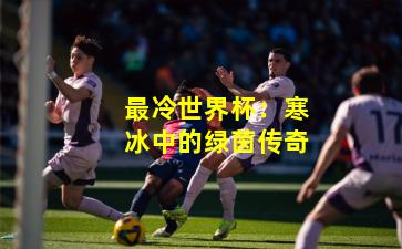 最冷世界杯：寒冰中的绿茵传奇