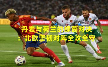 丹麦与荷兰的绿茵对决：北欧坚韧对阵全攻全守