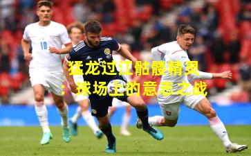 猛龙过江骷髅精灵：球场上的意志之战