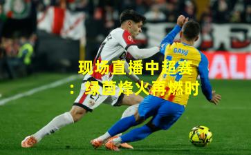 现场直播中超赛：绿茵烽火再燃时