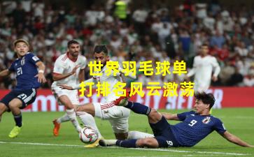 世界羽毛球单打排名风云激荡